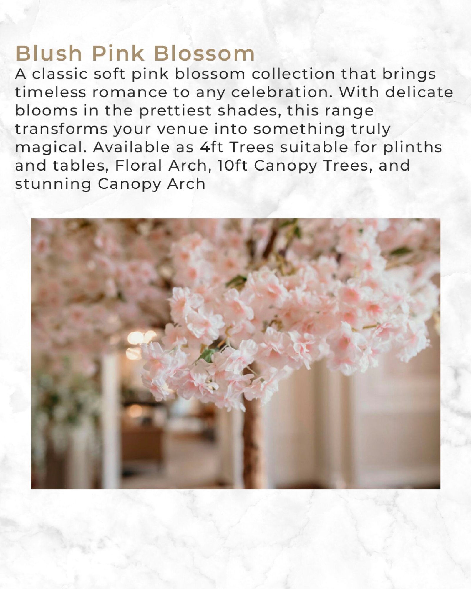 SHIRE EBOOK_page-0009